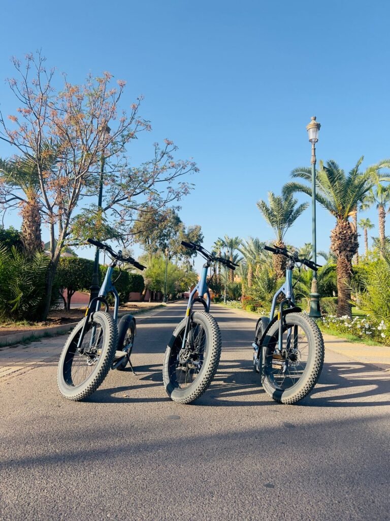 WhatsApp-Image-2024-11-22-at-16.38.56-768x1024