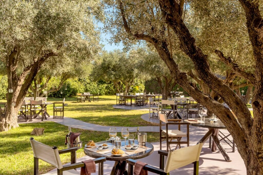 WhatsApp-Image-2024-12-25-at-15.01.02-3-1024x684