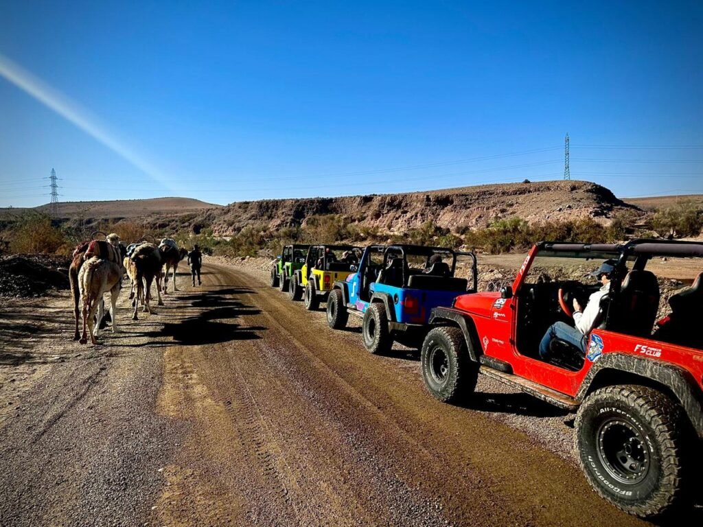 WhatsApp-Image-2025-02-12-at-10.54.30-1024x768