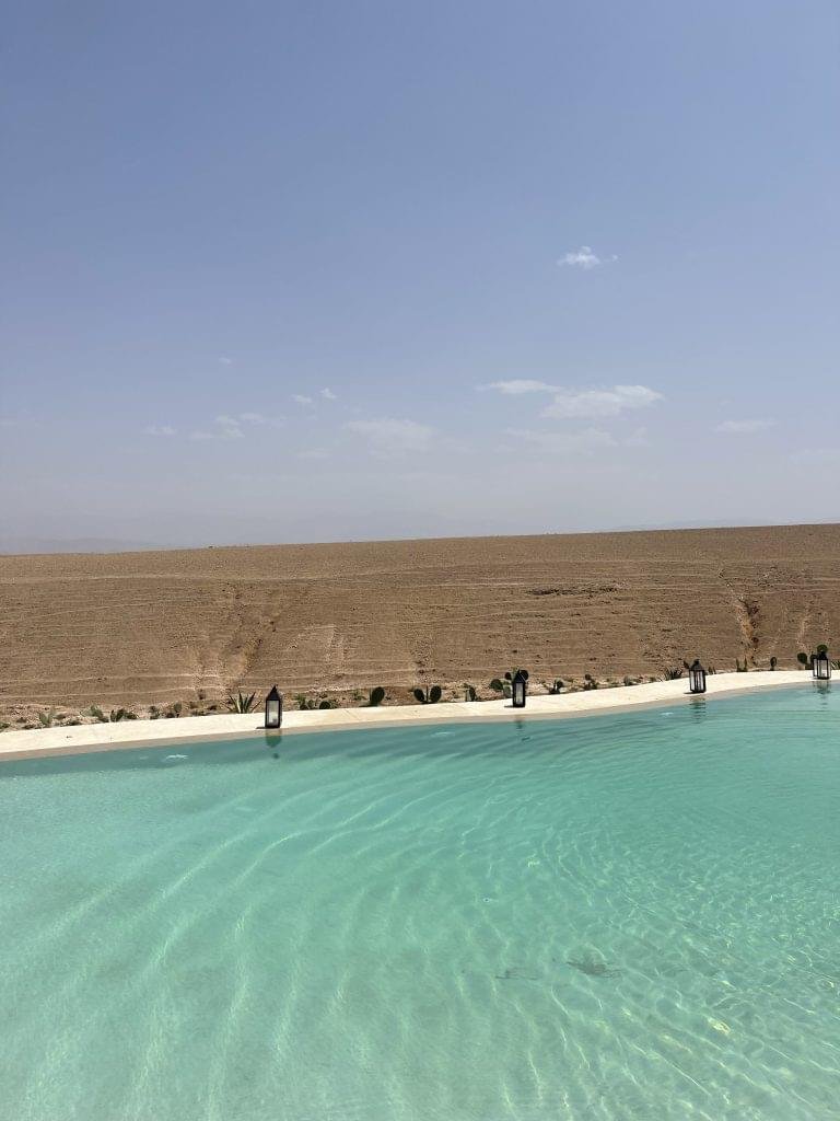 9C292DFD-B49B-47AA-A9FA-D99D46E3A424-768x1024